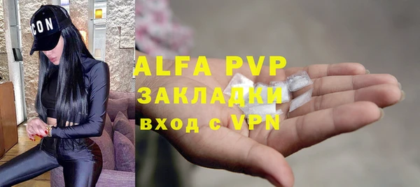 прущие грибы Вязники