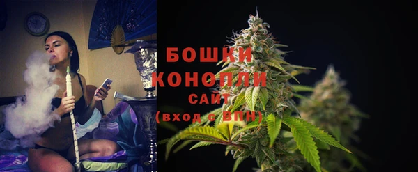 тгк Вяземский