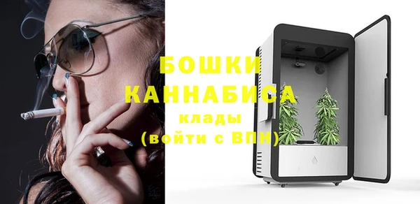 прущие грибы Вязники