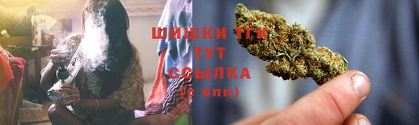 прущие грибы Вязники