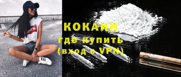прущие грибы Вязники