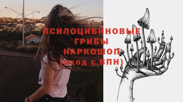 тгк Вяземский