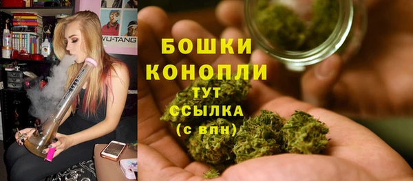 прущие грибы Вязники