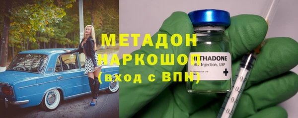 прущие грибы Вязники