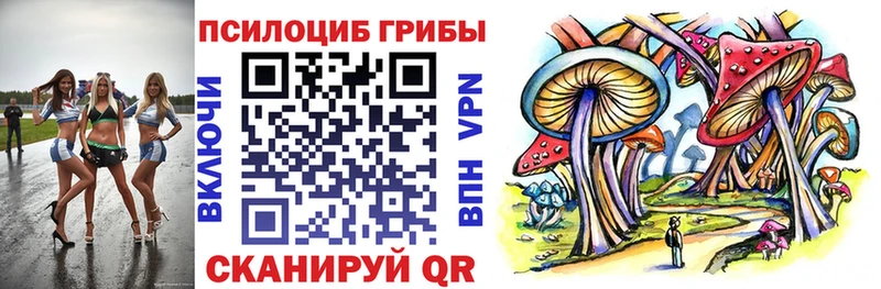 Псилоцибиновые грибы Cubensis  Железногорск-Илимский 